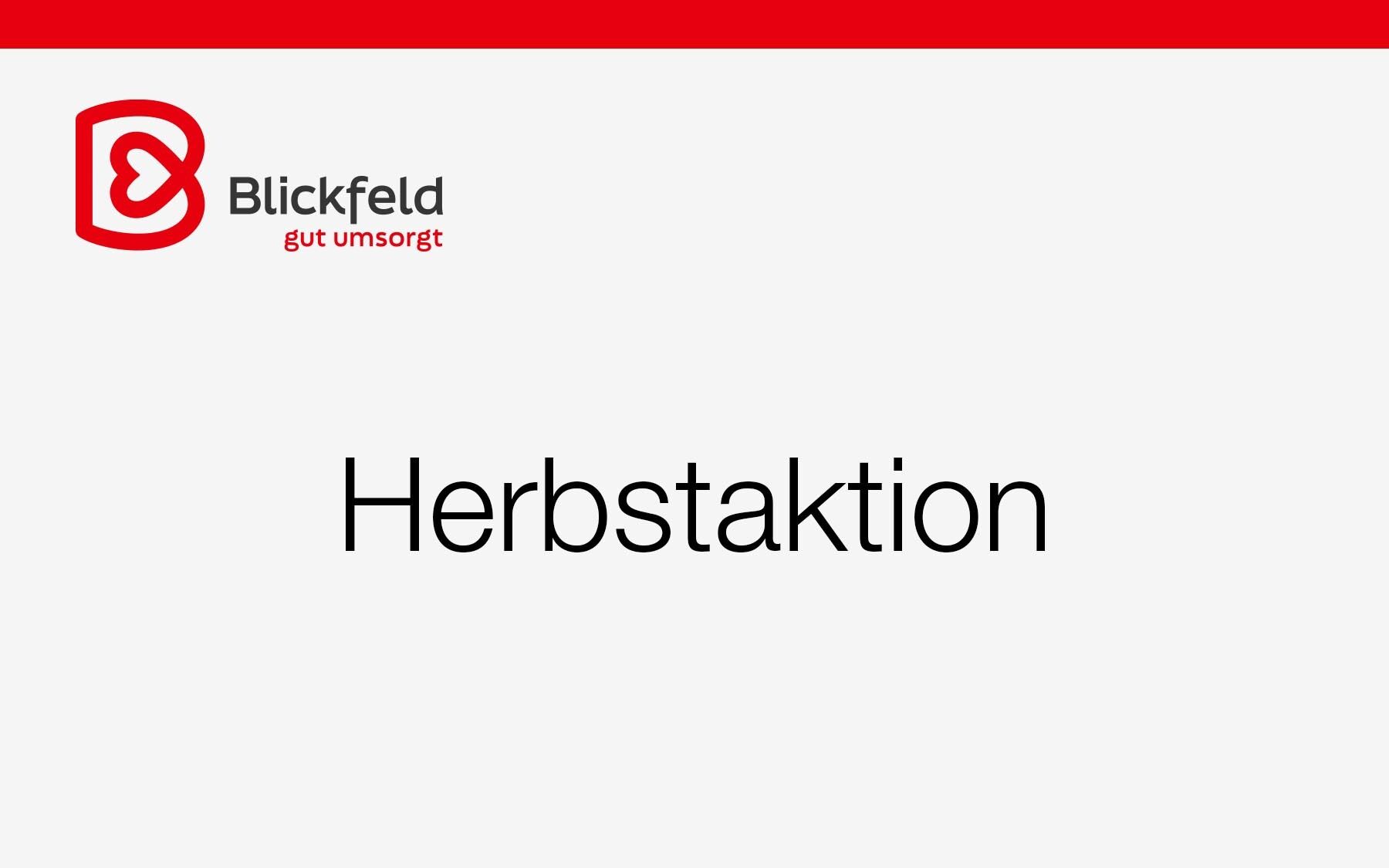 Teaser Herbstaktion