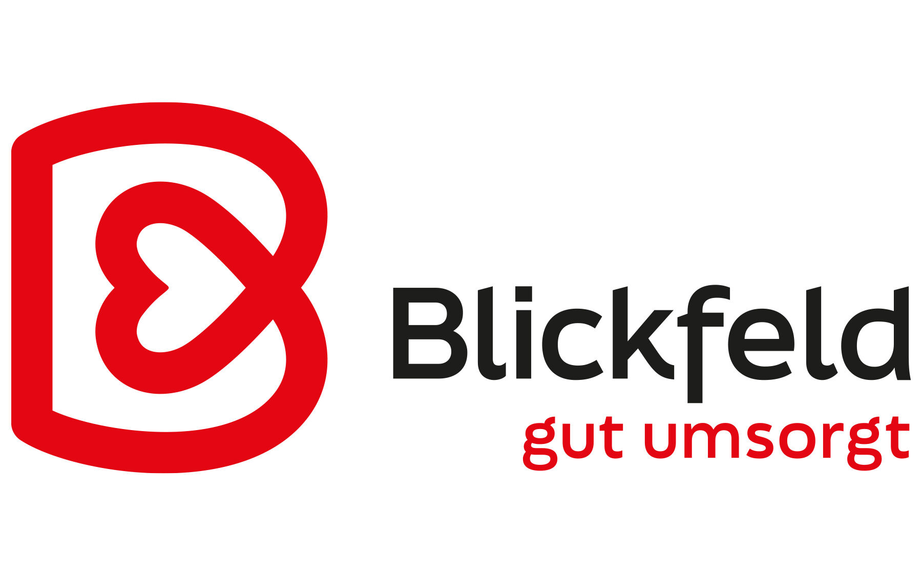Blickfeld logo 1800px